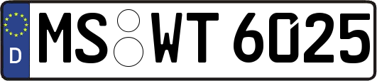 MS-WT6025