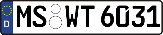 MS-WT6031