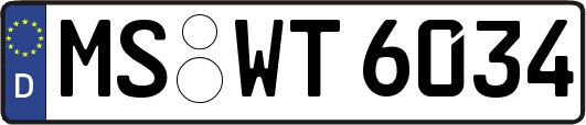 MS-WT6034