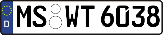 MS-WT6038