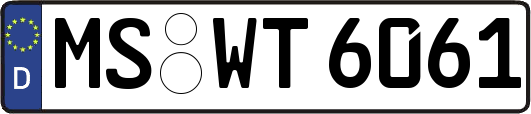 MS-WT6061