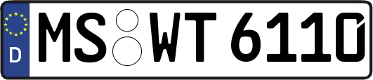 MS-WT6110