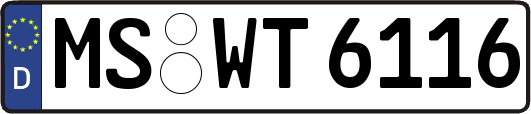 MS-WT6116