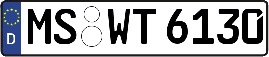 MS-WT6130