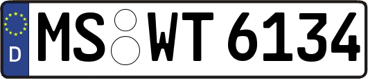 MS-WT6134
