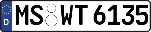 MS-WT6135