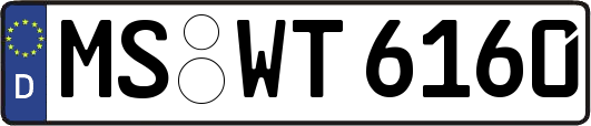 MS-WT6160