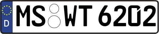 MS-WT6202