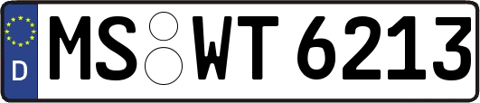 MS-WT6213