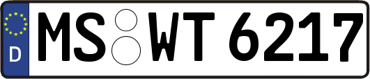 MS-WT6217