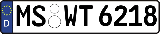MS-WT6218