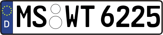 MS-WT6225
