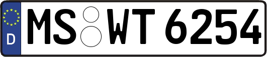 MS-WT6254