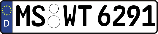 MS-WT6291