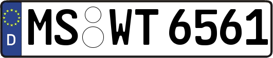 MS-WT6561