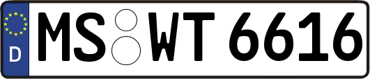 MS-WT6616
