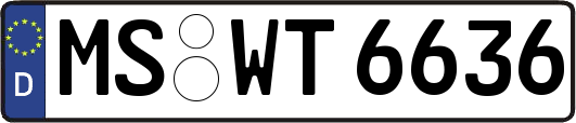 MS-WT6636