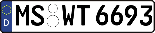 MS-WT6693
