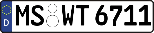 MS-WT6711