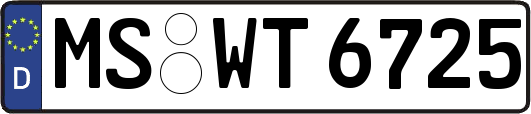 MS-WT6725