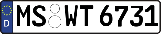 MS-WT6731