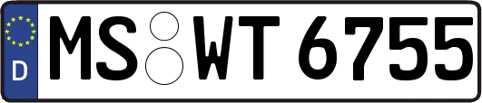 MS-WT6755