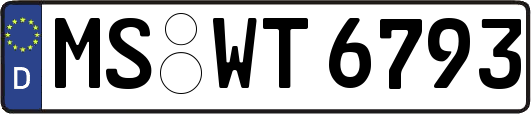 MS-WT6793