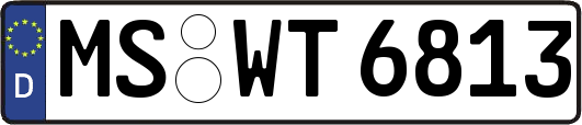 MS-WT6813