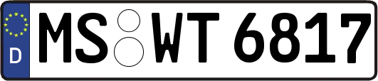 MS-WT6817
