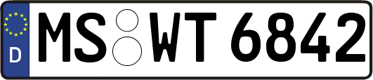 MS-WT6842