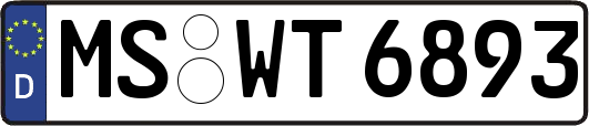 MS-WT6893