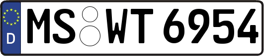 MS-WT6954