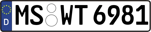 MS-WT6981