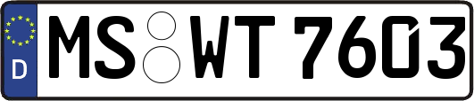 MS-WT7603