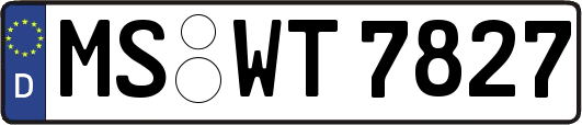 MS-WT7827