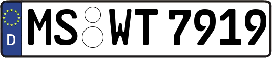 MS-WT7919
