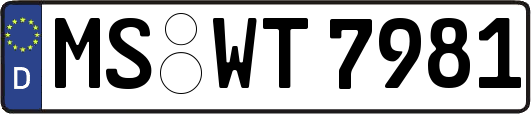 MS-WT7981