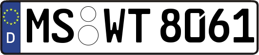 MS-WT8061