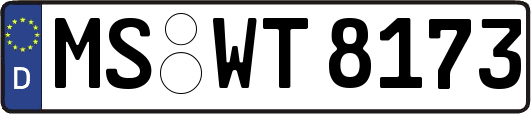 MS-WT8173