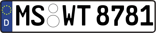MS-WT8781