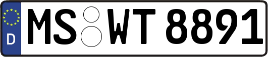 MS-WT8891