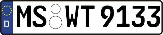 MS-WT9133