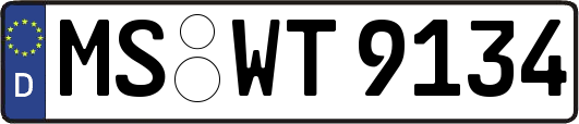 MS-WT9134