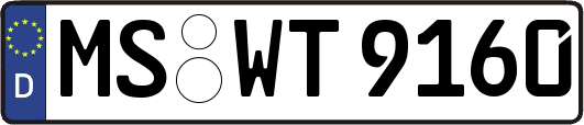 MS-WT9160