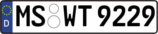 MS-WT9229