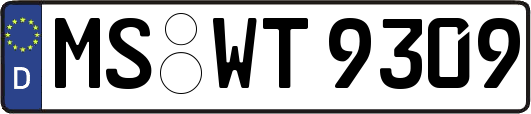 MS-WT9309
