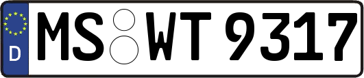 MS-WT9317