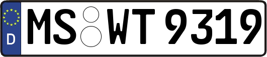 MS-WT9319