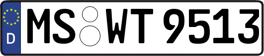 MS-WT9513