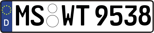 MS-WT9538